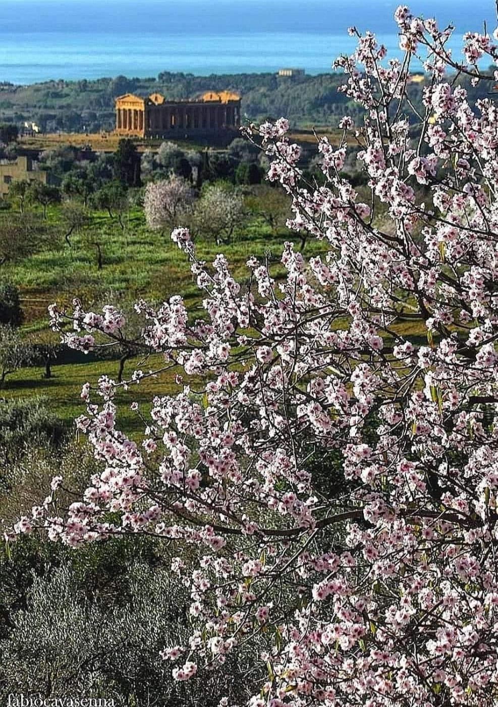 Casa Vacanze Villa Eolo Agrigento Bagian luar foto